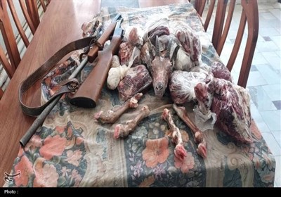 شکار در قلب منطقه حفاظت‌شده؛ کشف لاشه دو کل و بز وحشی/ دستگیری 4 متخلف