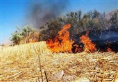 تشکیل پرونده قضائی برای متخلفان زیست محیطی در پارس آباد