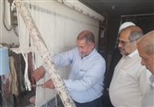 چهارمین قالی نذری مهریز برای توسعه صحن حضرت زینب(س)