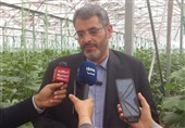 افزایش 2500 تنی تولید کشاورزی با افتتاح گلخانه پیشوا