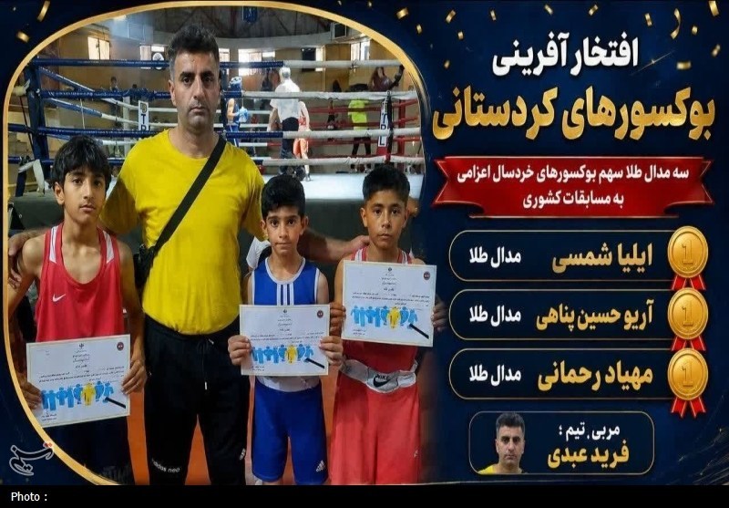 اخبار سنندج , اخبار استان کردستان , بوکس , فدراسیون بوکس ,
