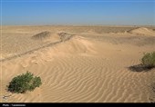 خراسان جنوبی زیر سایه غبار/چگونه بیابان به مرز زندگی مردم رسید؟