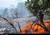10 هکتار از مراتع بویراحمد در آتش کوه سوری خاکستر شد