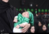 برپایی مراسم شیرخوارگان حسینی در آران و بیدگل+تصاویر