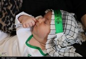 همایش شیرخوارگان حسینی در کلاچای گیلان