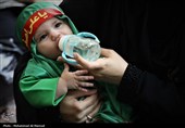 همایش شیرخوارگان حسینی در قم