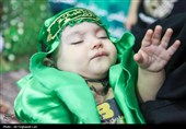 طنین نوای «یا علی‌اصغر (ع)» در لارستان