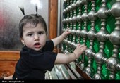 طنین نوای «یا علی‌اصغر (ع)» در لارستان