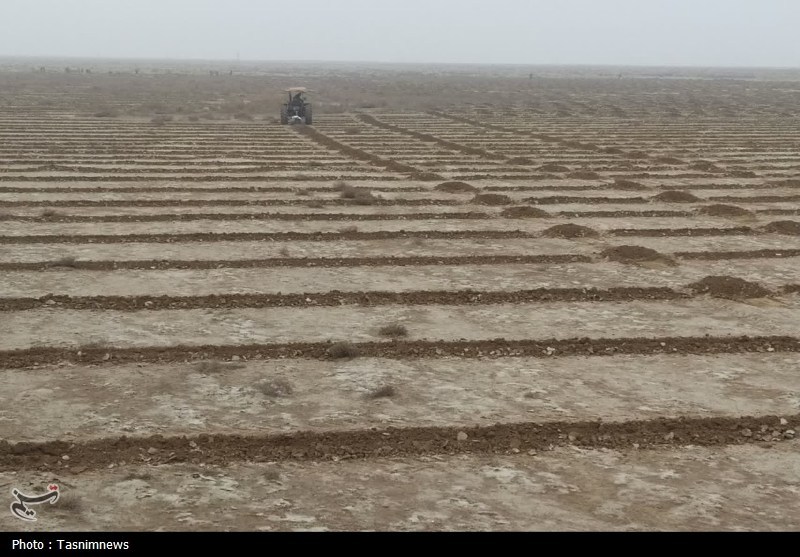 تهدید "بیابان" در گلستان ایران/ فشارهای اقلیمی و انسانی بر سر جنگلها اخبار استان گلستان , بحران آب ,