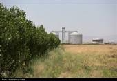 بازدید خبرنگاران همدان از تصفیه خانه فاضلاب همدان