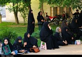 روضه های خانگی در زنجان