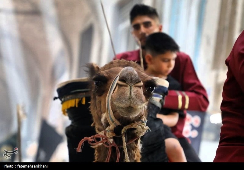 اخبار اراک , تعزیه , 