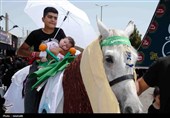 آیین کُتَل‌داری در نوش‌آباد برگزار شد