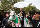 آیین کُتَل‌داری در نوش‌آباد برگزار شد
