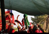 بازسازی واقعه عاشورا و شهادت سیدالشهدا(ع) در آیین باشکوه تعزیه ده‌زیار