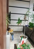 بازدید دادستان اردبیل از مراکز نگهداری کودکان؛ تأکید بر ارتقای خدمات حمایتی