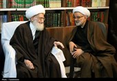 دیدار پزشکیان با آیت‌الله نوری همدانی