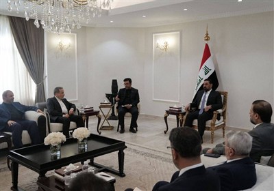 عراقچی: امنیت پایدار در غرب آسیا نیازمند امنیت جمعی است