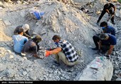 از همان روزهای نخست، تیم‌های تفحص شهدا مشغول جستجوی وجب به وجب آوارهای این جنایت تروریستی هستند و بقایای جدید کشف شده در این عملیات، فردا سه‌شنبه ۹ تیرماه بر روی دستان مردم صبور، مقاوم و شهید پرور خطه‌ی هرمزگان تشییع خواهد شد.