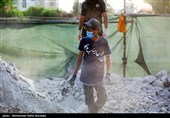 داغ دنباله‌دار "شجره طیبه" میناب