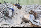 از همان روزهای نخست، تیم‌های تفحص شهدا مشغول جستجوی وجب به وجب آوارهای این جنایت تروریستی هستند و بقایای جدید کشف شده در این عملیات، فردا سه‌شنبه ۹ تیرماه بر روی دستان مردم صبور، مقاوم و شهید پرور خطه‌ی هرمزگان تشییع خواهد شد.