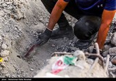داغ دنباله‌دار "شجره طیبه" میناب