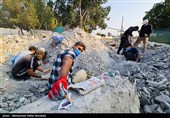 داغ دنباله‌دار "شجره طیبه" میناب