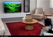اقدام حمایتی استاندار کردستان از 2 دختر آسیب‌دیده؛ وعده‌ای که محقق شد