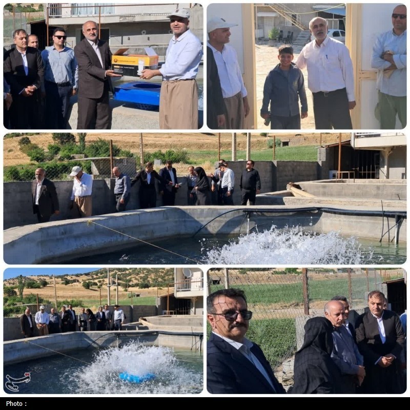 اخبار استان کردستان , کشاورزی , پرونده "کشاورزی، ناجی اقتصاد" , ستاد توسعه اقتصاد دانشبنیان غذا و کشاورزی ,