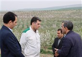 «معماری نوین امنیت غذایی» -4 |فقر تفکر راهبردی و «امنیت غذایی مونتاژی»