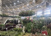 اردبیل میزبان گل‌کاران 7 استان کشور