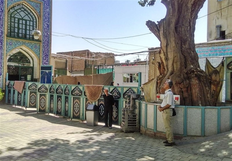 اخبار استان همدان ,