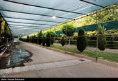 آماده سازی زائرشهر بزرگ امام خمینی(ره)