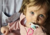 انتقاد رئیس حزب عدالت و صلح نروژ از سکوت کشورش در برابر جنایات آمریکا