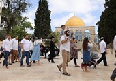 تعرض بیش از 1400 شهرک‌نشین به صحن‌های مسجدالاقصی در طول یک هفته