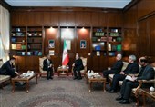 تاکید عراقچی بر مشارکت فعال ایران در نشست‌های سازمان دی8