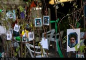 مراسم تشییع پیکر مطهر آقای شهید ایران - 12