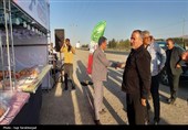 رصد میدانی استاندارخراسان جنوبی از مواکب زائران