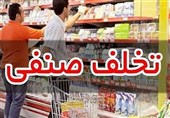 پرونده 110 میلیارد ریالی برای 3 واحد متخلف خراسان جنوبی