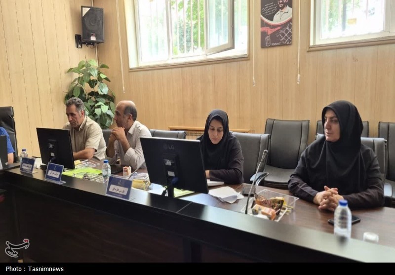بوکس , فدراسیون بوکس , اخبار زنجان ,