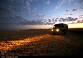 برداشت  گندم و جو دیم از مزارع همدان