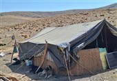 اشتغال عشایر سمنان به تحقق 98.67 درصدی رسید
