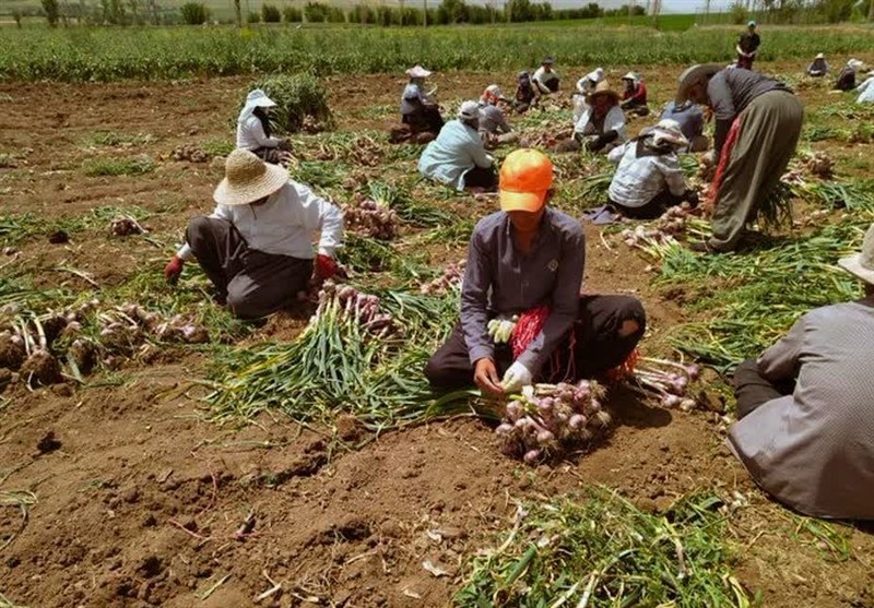اخبار استان همدان , اخبار همدان ,
