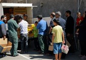 توزیع 21 هزار قطعه جوجه مرغ بومی برای خودکفایی روستاهای خراسان جنوبی