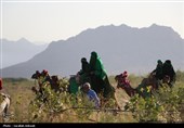 ورود نمادین قافله اسرای کربلا به شام در ده‌زیار