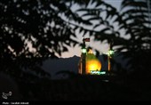 ورود نمادین قافله اسرای کربلا به شام در ده‌زیار