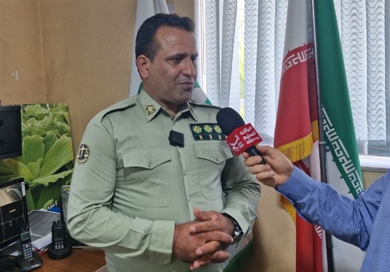 «عروس شیطانی» در آبهای شرق گیلان ریشه دواند اخبار استان گیلان , نظام مسائل استان گیلان , پایش و نظارت در محیط زیست , عوارض آلایندگی محیط زیست ,