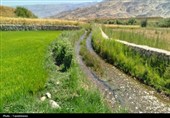 خسارت زیرساختی به قطب کشاورزی چرام+فیلم