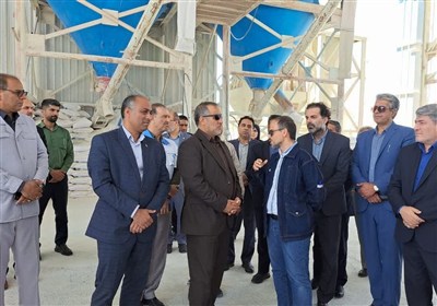 توسعه صنایع فرآوری راهبرد خراسان جنوبی برای جلوگیری از خام فروشی