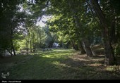 مسافران تابستانی در طاقبستان